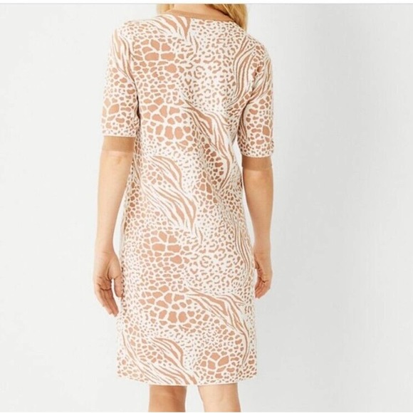 Ann Taylor‎ Mix Animal Print Shift Sweater Dress Size XS NWT - Picture 2 of 9
